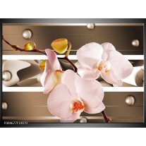 Foto canvas schilderij Orchidee | Bruin, Roze 