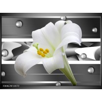 Foto canvas schilderij Bloem | Grijs, Wit, Groen 