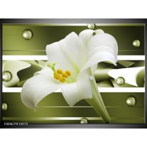 Foto canvas schilderij Bloem | Groen, Wit 