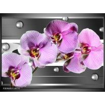 Foto canvas schilderij Orchidee | Grijs, Paars, Wit 