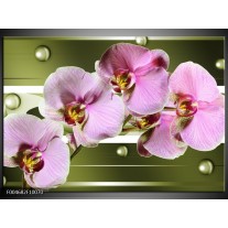 Glas schilderij Orchidee | Groen, Paars, Roze