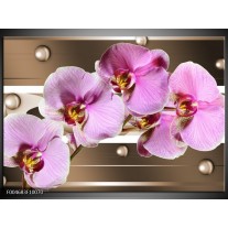 Glas schilderij Orchidee | Bruin, Paars, Roze 