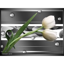 Foto canvas schilderij Tulp | Grijs, Wit, Groen 