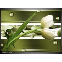 Foto canvas schilderij Tulp | Grijs, Wit, Groen 