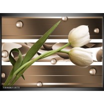 Foto canvas schilderij Tulp | Bruin, Groen, Wit 