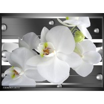 Foto canvas schilderij Orchidee | Grijs, Wit 