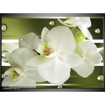 Foto canvas schilderij Orchidee | Groen, Wit 