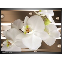 Foto canvas schilderij Orchidee | Bruin, Wit 