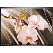 Foto canvas schilderij Orchidee | Bruin, Roze 