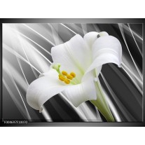 Foto canvas schilderij Bloem | Grijs, Wit, Groen 