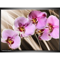 Foto canvas schilderij Orchidee | Groen, Bruin, Roze 