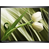 Foto canvas schilderij Tulp | Grijs, Wit, Groen 