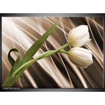 Foto canvas schilderij Tulp | Bruin, Wit, Groen 