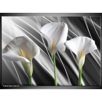 Foto canvas schilderij Bloem | Grijs, Wit, Groen 