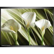 Foto canvas schilderij Bloem | Groen, Wit 