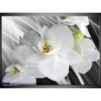 Foto canvas schilderij Orchidee | Wit, Grijs, Groen 