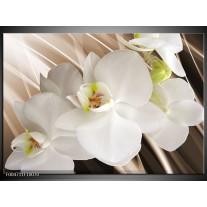 Foto canvas schilderij Orchidee | Wit, Bruin 