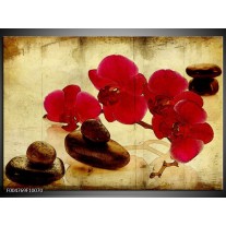 Foto canvas schilderij Orchidee | Rood, Bruin, Geel 