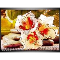 Foto canvas schilderij Bloem | Wit, Rood, Geel 