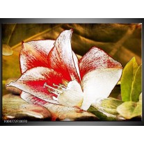 Foto canvas schilderij Bloem | Wit, Rood, Geel 