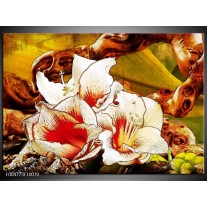 Foto canvas schilderij Bloem | Wit, Rood, Geel 