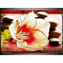 Glas schilderij Bloem | Wit, Rood, Geel 