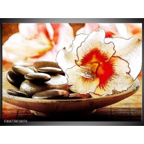 Foto canvas schilderij Bloem | Wit, Rood, Geel 