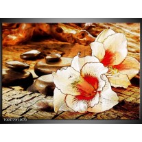 Foto canvas schilderij Bloem | Wit, Rood, Geel 