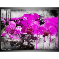 Foto canvas schilderij Orchidee | Paars, Grijs, Wit 