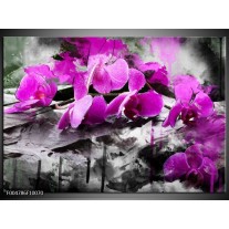 Glas schilderij Orchidee | Paars, Grijs, Wit 