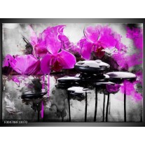 Glas schilderij Orchidee | Paars, Grijs, Wit 