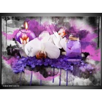 Foto canvas schilderij Orchidee | Paars, Blauw, Wit 