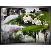 Foto canvas schilderij Bloem | Wit, Groen, Grijs 