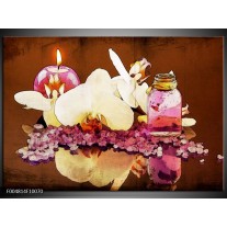 Foto canvas schilderij Orchidee | Paars, Wit, Bruin 