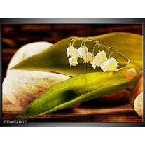 Foto canvas schilderij Bloem | Groen, Wit, Bruin 