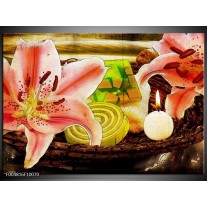 Foto canvas schilderij Bloem | Roze, Groen, Wit 