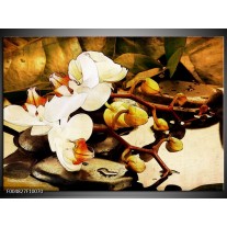 Glas schilderij Orchidee | Bruin, Wit, Groen 