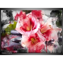 Foto canvas schilderij Bloem | Rood, Wit, Grijs 