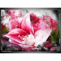 Foto canvas schilderij Bloem | Roze, Wit, Grijs 