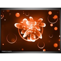 Foto canvas schilderij Bloem | Oranje, Bruin, Wit 