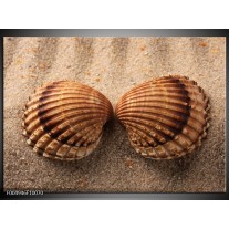 Glas schilderij Zand | Bruin, Crème