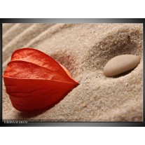 Foto canvas schilderij Spa | Bruin, Creme, Rood 