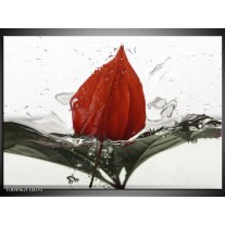 Foto canvas schilderij Keuken | Rood, Grijs, Wit 