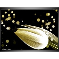 Foto canvas schilderij Tulp | Creme, Zwart 