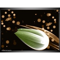 Foto canvas schilderij Tulp | Groen, Bruin, Zwart 