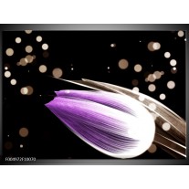 Foto canvas schilderij Tulp | Paars, Zwart 