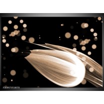 Foto canvas schilderij Tulp | Bruin, Zwart 