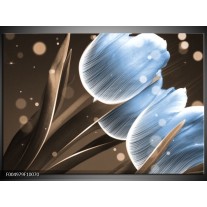 Foto canvas schilderij Tulp | Blauw, Bruin 