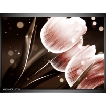 Foto canvas schilderij Tulp | Bruin, Zwart 