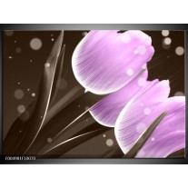 Foto canvas schilderij Tulp | Paars, Grijs 